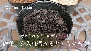 腐葉土を入れ過ぎるとどうなる？考えられる３つのデメリット