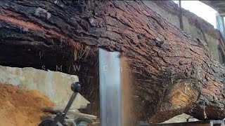 Cutting the most expensive wood and most interested in furniture entrepreneurs || sawmill