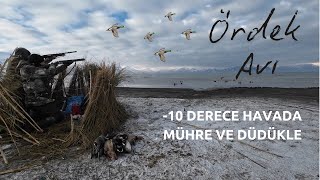 Ördekler bir bardak çay bile içirmediler. Çekirdeğini al, otur izle. #ördekavı #mallardduckhunting