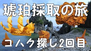 琥珀発掘の旅　neko家夏休み　ヒスイじゃなくてコハク探し冒険の旅　２日目前半