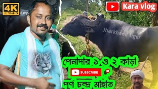 পেনাদার 1 ও 2 নম্বর কাড়ার - মুমেড penada Kara lorai purnu chandara mahato kara lorai kara vlog #