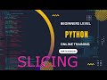 How to use slice in Python on Tuples or Strings