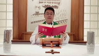 2024.11.26星期二 每日圣道礼仪 主徒会张伟刚神父主持Mandarin Liturgy of the Word celebrated by Fr Luke Zhang, CDD