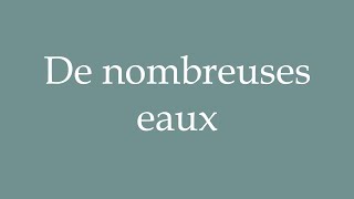 How to Pronounce ''De nombreuses eaux'' (Many waters) Correctly in French