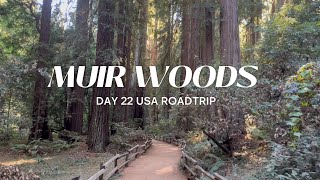 Day 22 Muir Woods