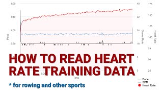 How to Read and Analyze Heart Rate Training Data