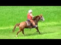 霧島　乗馬　ウェスタン　カウボーイ　サウスヒル　イベントライディング