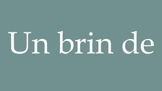 How to Pronounce ''Un brin de'' (A sprig of) Correctly in French