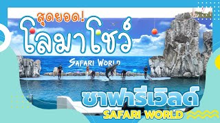 โชว์โลมาแสนฉลาดที่สวนสัตว์ซาฟารีเวิลด์ • Dolphin Show SAFARI WORLD