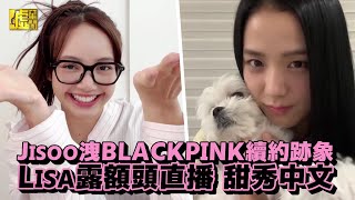 Jisoo洩BLACKPINK續約跡象 Lisa露額頭直播甜秀中文