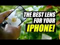 Sandmarc Macro Lens Review | Best iPhone Lens For Photography | Macro Photography