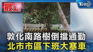 敦化南路樹倒擋通勤 北市市區下班大塞車｜TVBS新聞 @TVBSNEWS01