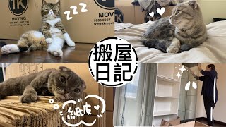 搬屋日記📦陪我紀錄貓貓搬屋後的新生活🐱/lifewithmee/planwithmee