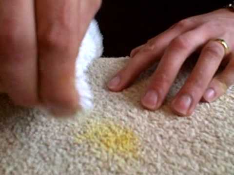 Art Of Clean Cambridge, How To Remove Pollen From Carpet And Upholstery Art Of Clean Cambridge, How To Remove Pollen From Carpet And Upholstery