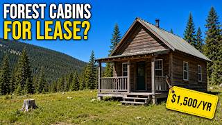 6 Forest Service Cabins You Can Lease Long-Term (Most People Don't Know)
