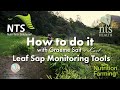 How to Do It Series - Episode 9 - Leaf Sap Monitoring Tools