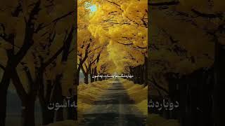 دیگه توی دنیا به چی اعتباره؟ ، کسی که براش مردی دوست نداره \u0026 #مرتضی پاشایی