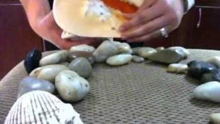 Pebbles and Shells (soft spoken sounds)