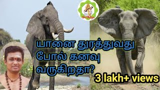 யானைதுரத்துவது போல் கனவு வருகிறதா? elephant dream in tamil...