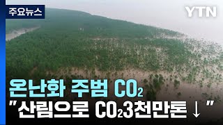 [날씨] "온난화 주범 CO₂, 2027년까지 산림으로 3천만 톤↓" / YTN