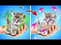 Extreme HACKS for My CAT! Must-Have Makeover GADGETS for My Pet from TikTok