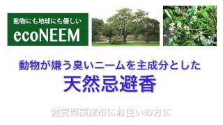 ネズミやハクビシンでお困りの滋賀県栗東市の方へ｜置くだけで撃退するニームが主成分の天然忌避香