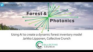 Using AI to create a dynamic forest inventory model, Collective Crunch