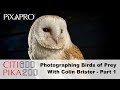 Photographing Owls & Birds of Prey - With Colin Brister - Part 1