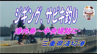 ジギングとサビキ釣り　波切港　港内奥～中央堤防に