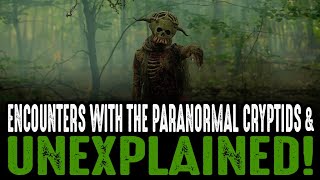 Encounters With Cryptids & The Unexplained - Volume #5