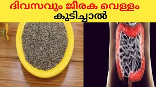 Nutrition malayalam അല്പം ജീരകം ഇതുപോലെ കഴിച്ചാൽ അൽഭുതം നേരിട്ട് കാണാം Cumin Seeds Cumin Powder