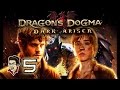 Down the Everfall - Dragon's Dogma Dark Arisen #5 [Lounge w/ me]