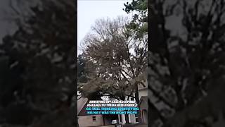 Borrowing phone call went left officer can’t explain properly lying #shorts #policeofficers #cops