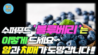 [헬시닥터] 슈퍼푸드 블루베리! 이렇게 드셔야합니다! 치매와 암에 최고의 과일!    블루베리와 함께 먹으면 보약 되는 궁합 음식 3가지.