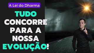 ENTENDA a LEI do DHARMA e não SE DESVIE da ESTRADA SEM FIM da EVOLUÇÃO!