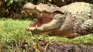 Muggers Of Spice Island / Quest For The Mugger Crocodile