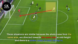 Oblak and Grbić's saves analysis - Football goalkeeper analysis