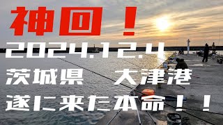 2024年12月4日  【神回】茨城県  大津港   遂に泳がせで本命連発！！