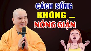 Cách Sống Để Tâm Bớt Nghiệp Nóng Giận Sân Si _  Vấn Đáp Thầy Thích Pháp Hòa #Mới