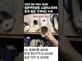 일본 무인양품에선 이것만 고르자 5 무인양품