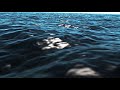 looping video of subtle water movement