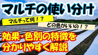 【0から農業塾】マルチの目的別使い分け！詳しく・分かりやすく解説