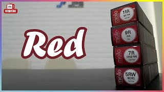 [색상 탐구] Red 염색/ \