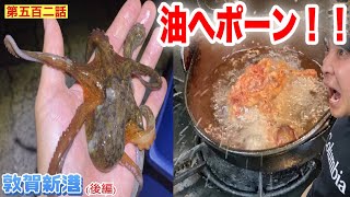 【第五百二話】釣ったタコを油へポーン！！！！！！〜敦賀新港に潜入！！（後編）