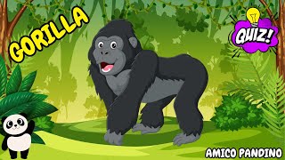 Animali per bambini video - IL GORILLA - Impara gli animali con Pandino - quiz animali - MAMMIFERI