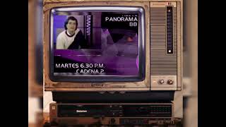 COMERCIAL PANORAMA 1988