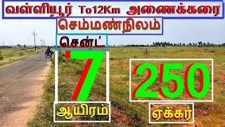 வள்ளியூர் To12km அணைக்கரை 250 ஏக்கர் செம்மண்நிலம்.சென்ட் 7 ஆயிரம்-1180-023.05.13 #hom #property #JJJ