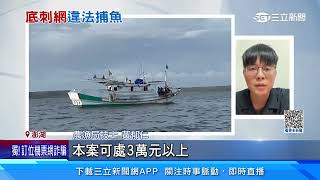 「死亡之牆」毀海洋生態　漁民違法用「底刺網」│94看新聞