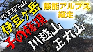 【埼玉百名山】伊豆ヶ岳・子ノ権現・川越山・正丸山のバチバチ縦走！神・岩場・展望　飯能アルプス