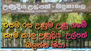 MADUNAGALA Hot Spring water in Srilanka මදුනාගල උණුදිය  උල්පත් by GayanVlogs